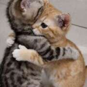 遠野はずき(とうのはずき) 出勤しました 五十路マダムエクスプレス厚木店(カサブランカグループ)