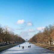 ヒメ日記 2025/01/17 22:20 投稿 ありす 奥鉄オクテツ東京店（デリヘル市場）