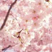 ヒメ日記 2025/03/24 12:10 投稿 ありす 奥鉄オクテツ東京店（デリヘル市場）