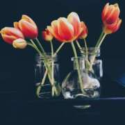 ヒメ日記 2025/03/30 20:30 投稿 ありす 奥鉄オクテツ東京店（デリヘル市場）