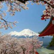 ヒメ日記 2025/04/04 22:00 投稿 ありす 奥鉄オクテツ東京店（デリヘル市場）