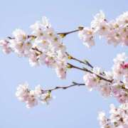 ヒメ日記 2025/04/09 17:45 投稿 ありす 奥鉄オクテツ東京店（デリヘル市場）