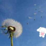 ヒメ日記 2025/04/15 16:30 投稿 ありす 奥鉄オクテツ東京店（デリヘル市場）