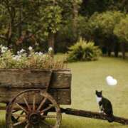 ヒメ日記 2025/04/17 12:10 投稿 ありす 奥鉄オクテツ東京店（デリヘル市場）