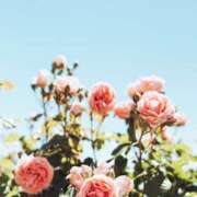 ヒメ日記 2025/05/04 07:00 投稿 ありす 奥鉄オクテツ東京店（デリヘル市場）