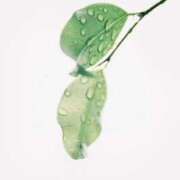 ヒメ日記 2025/05/06 09:10 投稿 ありす 奥鉄オクテツ東京店（デリヘル市場）