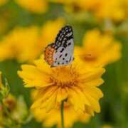 ヒメ日記 2025/05/19 21:00 投稿 ありす 奥鉄オクテツ東京店（デリヘル市場）