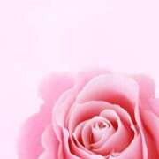 ヒメ日記 2025/07/15 12:00 投稿 ありす 奥鉄オクテツ東京店（デリヘル市場）