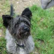 ヒメ日記 2025/07/16 19:00 投稿 ありす 奥鉄オクテツ東京店（デリヘル市場）