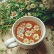 ヒメ日記 2025/09/25 20:00 投稿 ありす 奥鉄オクテツ東京店（デリヘル市場）