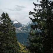 ヒメ日記 2025/10/04 00:10 投稿 ありす 奥鉄オクテツ東京店（デリヘル市場）