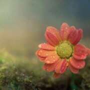 ヒメ日記 2025/10/24 19:30 投稿 ありす 奥鉄オクテツ東京店（デリヘル市場）