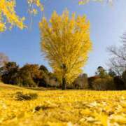 ヒメ日記 2025/11/23 19:40 投稿 ありす 奥鉄オクテツ東京店（デリヘル市場）