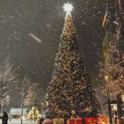 ヒメ日記 2025/12/25 12:05 投稿 ありす 奥鉄オクテツ東京店（デリヘル市場）