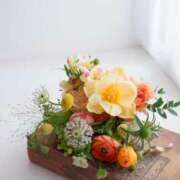 ヒメ日記 2026/01/22 21:25 投稿 ありす 奥鉄オクテツ東京店（デリヘル市場）