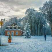 ヒメ日記 2026/02/07 15:10 投稿 ありす 奥鉄オクテツ東京店（デリヘル市場）