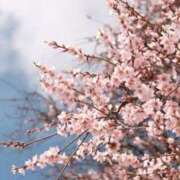 ヒメ日記 2026/03/28 22:45 投稿 ありす 奥鉄オクテツ東京店（デリヘル市場）