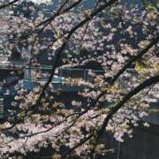 ヒメ日記 2026/04/03 18:45 投稿 ありす 奥鉄オクテツ東京店（デリヘル市場）