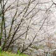 ヒメ日記 2026/04/05 21:20 投稿 ありす 奥鉄オクテツ東京店（デリヘル市場）