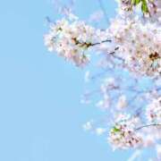 ヒメ日記 2026/04/06 21:35 投稿 ありす 奥鉄オクテツ東京店（デリヘル市場）