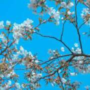 ヒメ日記 2026/04/08 22:30 投稿 ありす 奥鉄オクテツ東京店（デリヘル市場）