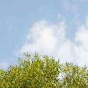 ヒメ日記 2026/04/16 18:50 投稿 ありす 奥鉄オクテツ東京店（デリヘル市場）