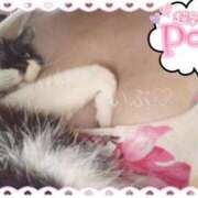 ヒメ日記 2025/02/22 12:50 投稿 衣舞（いぶ） 熟女の風俗最終章　鶯谷店