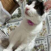 ヒメ日記 2024/12/12 11:55 投稿 千晃（ちあき） 女々艶 大和店