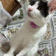 ヒメ日記 2024/12/12 12:51 投稿 千晃（ちあき） 女々艶 大和店