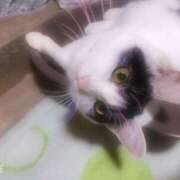 ヒメ日記 2024/12/13 16:54 投稿 千晃（ちあき） 女々艶 大和店