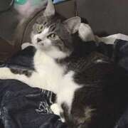 ヒメ日記 2024/12/16 00:34 投稿 千晃（ちあき） 女々艶 大和店