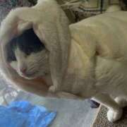 ヒメ日記 2024/12/16 17:49 投稿 千晃（ちあき） 女々艶 大和店