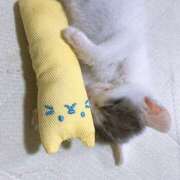 ヒメ日記 2024/12/21 18:26 投稿 千晃（ちあき） 女々艶 大和店