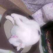 ヒメ日記 2024/12/23 16:14 投稿 千晃（ちあき） 女々艶 大和店