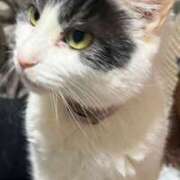 ヒメ日記 2024/12/28 16:21 投稿 千晃（ちあき） 女々艶 大和店