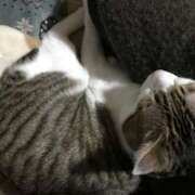 ヒメ日記 2024/12/30 03:15 投稿 千晃（ちあき） 女々艶 大和店