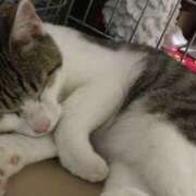 ヒメ日記 2025/01/02 20:50 投稿 千晃（ちあき） 女々艶 大和店