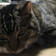 ヒメ日記 2025/01/04 19:10 投稿 千晃（ちあき） 女々艶 大和店