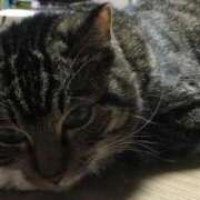 ヒメ日記 2025/01/04 20:12 投稿 千晃（ちあき） 女々艶 大和店