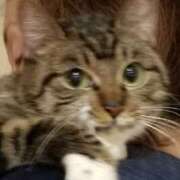 ヒメ日記 2025/01/12 19:48 投稿 千晃（ちあき） 女々艶 大和店