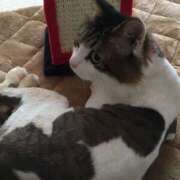 ヒメ日記 2025/02/11 12:12 投稿 千晃（ちあき） 女々艶 大和店