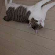 ヒメ日記 2025/02/25 15:22 投稿 千晃（ちあき） 女々艶 大和店