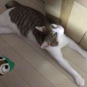 ヒメ日記 2025/03/13 18:15 投稿 千晃（ちあき） 女々艶 大和店