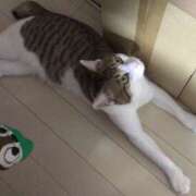 ヒメ日記 2025/03/13 21:31 投稿 千晃（ちあき） 女々艶 大和店