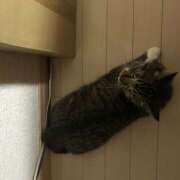 ヒメ日記 2025/03/16 14:21 投稿 千晃（ちあき） 女々艶 大和店