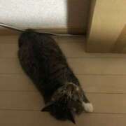 ヒメ日記 2025/03/16 18:24 投稿 千晃（ちあき） 女々艶 大和店