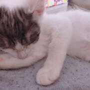 ヒメ日記 2025/03/18 21:50 投稿 千晃（ちあき） 女々艶 大和店