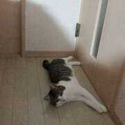 ヒメ日記 2025/03/26 19:51 投稿 千晃（ちあき） 女々艶 大和店