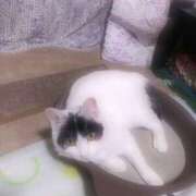 ヒメ日記 2025/04/11 15:07 投稿 千晃（ちあき） 女々艶 大和店