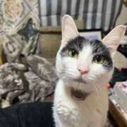 ヒメ日記 2025/05/09 04:01 投稿 千晃（ちあき） 女々艶 大和店